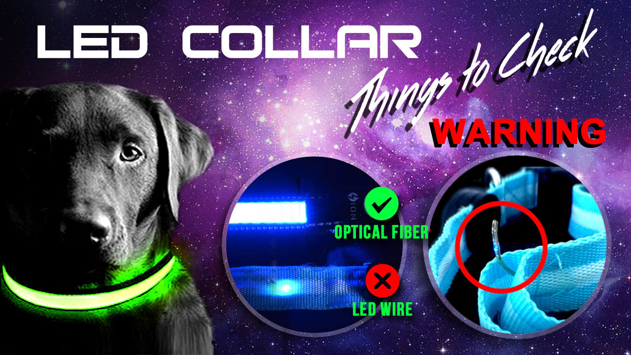 glowing-pet-collar